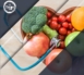 The-Key-to-Nutrition-and-Wellness-2.jpg