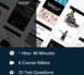 behance-1.jpg