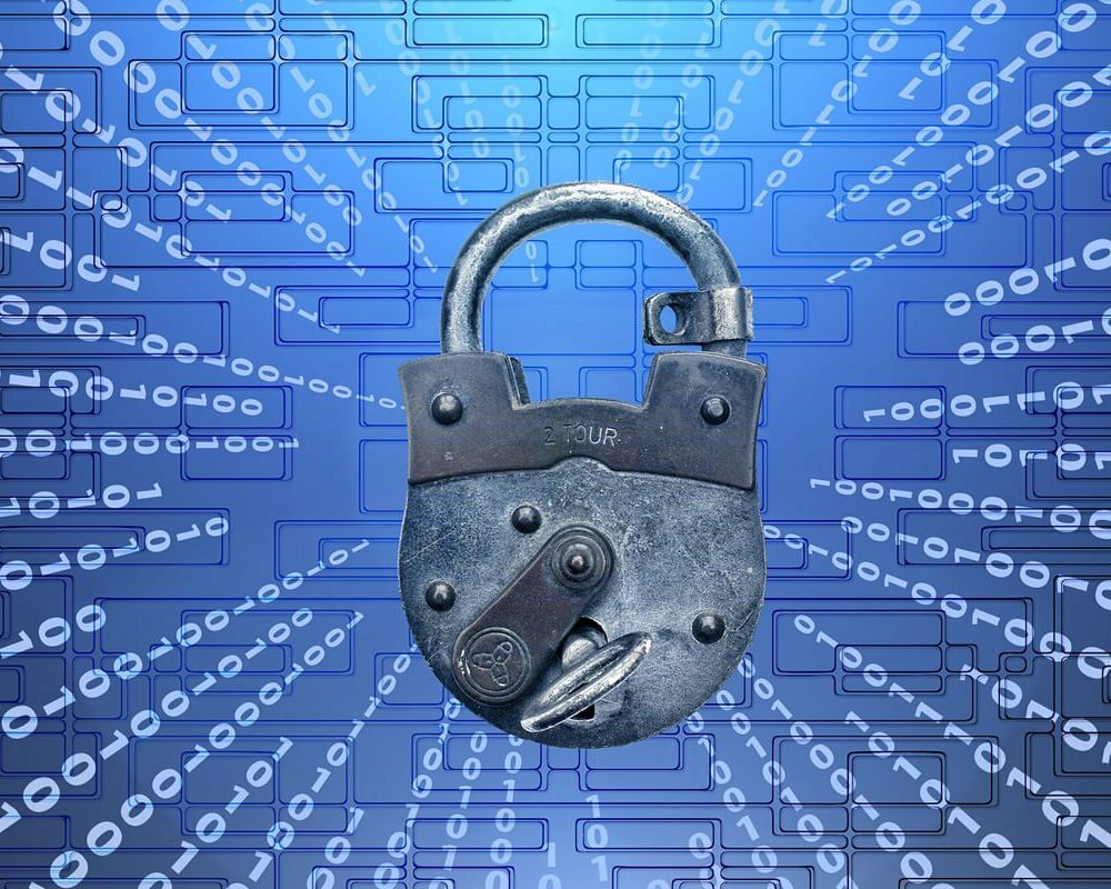 IT Manager Survival Training Bundle