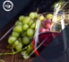 wine-prepare-2.jpg